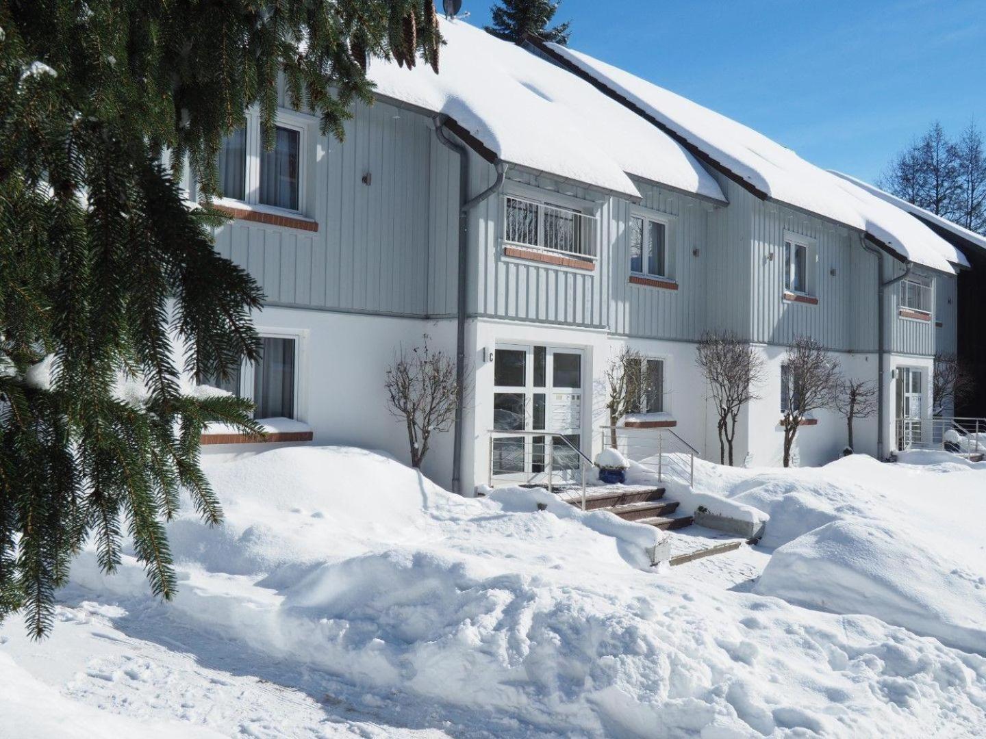 Ferienresidenz An Der Bode, Wohnung 1 Браунлаге Екстериор снимка